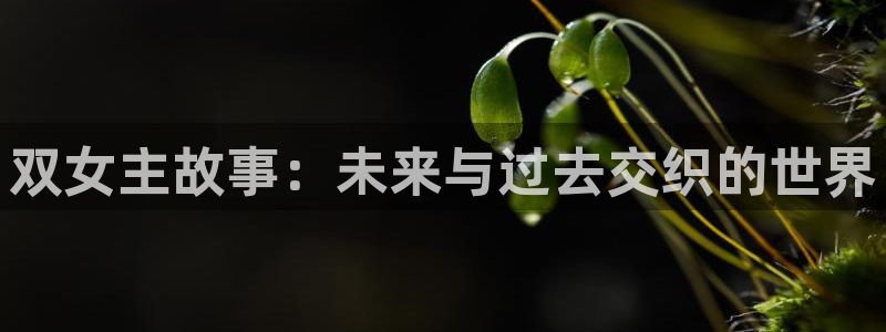 omofun 官网：双女主故事：未来与过去交织的世界