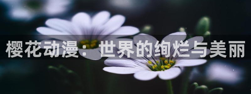 omofun官方app：樱花动漫：世界的绚烂与美丽