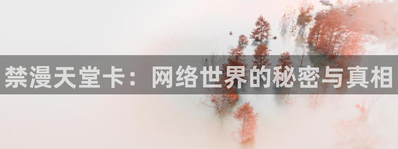 omofun动漫官方下载：禁漫天堂卡：网络世界的秘密与真相
