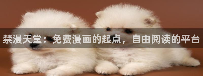 omofun动漫在线观看动漫最新版本更新：禁漫天堂：免费漫画的起点，自由阅读的平台