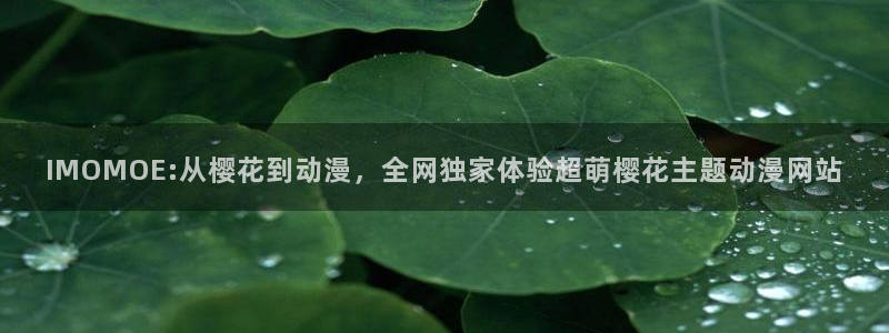 omofun动漫一个：IMOMOE:从樱花到动漫，全网独家体验超萌樱花主题动漫网站