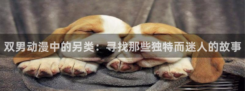 omofun.动漫在线看：双男动漫中的另类：寻找那些独特而迷人的故事