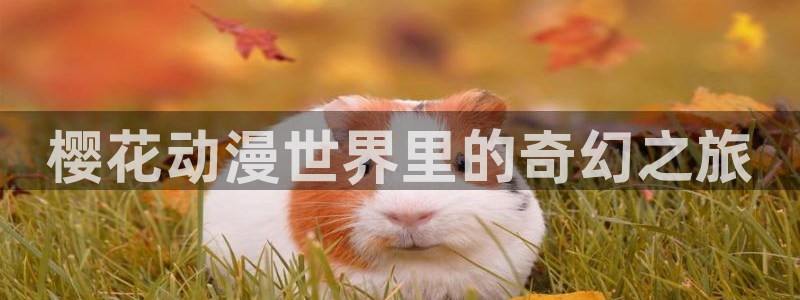 omofun下载的视频在哪：樱花动漫世界里的奇幻之旅