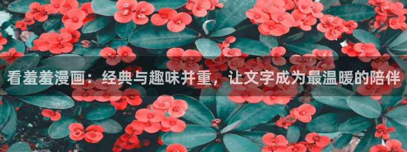 omofun在线观看动漫：看羞羞漫画：经典与趣味并重，让文字成为最温暖的陪伴
