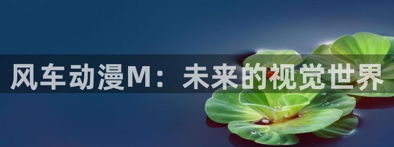 omofun动漫 官网：风车动漫M：未来的视觉世界