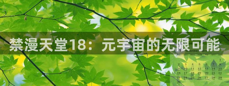 omofun动漫一个：禁漫天堂18：元宇宙的无限可能