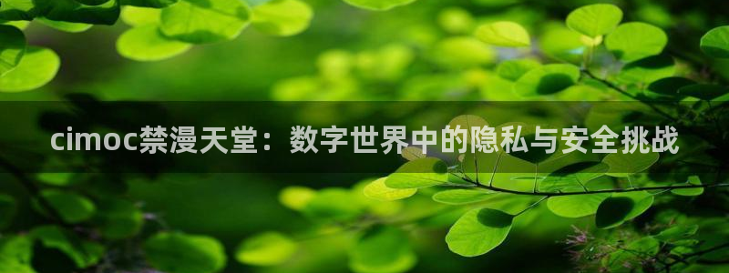 网页版omofun：cimoc禁漫天堂：数字世界中的隐私与安全挑战