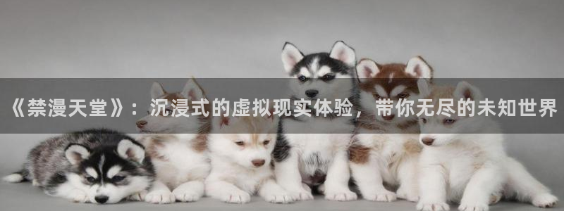 omofun苹果安装包：《禁漫天堂》：沉浸式的虚拟现实体验，带你无尽的未知世界