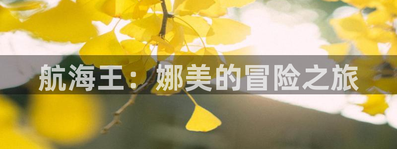 omofun是什么：航海王：娜美的冒险之旅