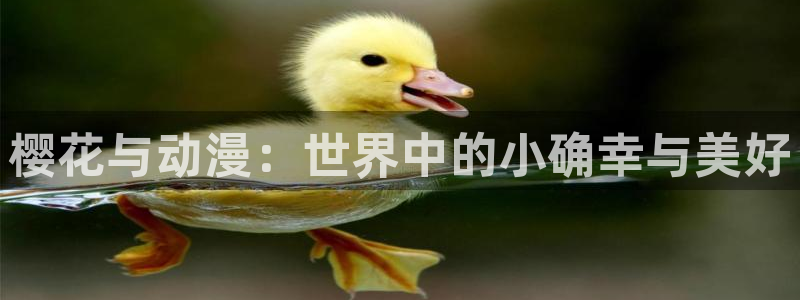 omofun 宕卧：樱花与动漫：世界中的小确幸与美好