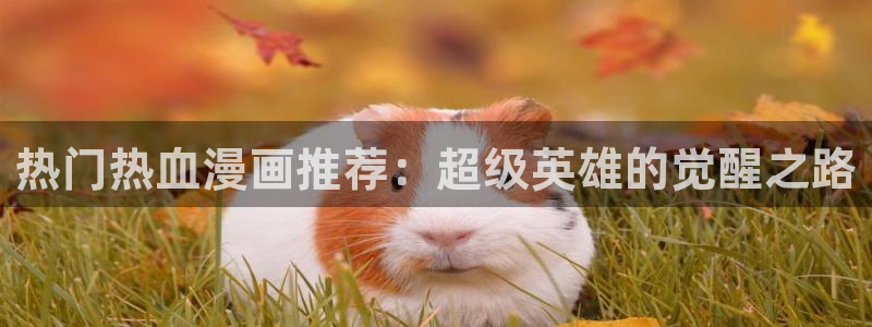 o站(omofun)官网：热门热血漫画推荐：超级英雄的觉醒之路
