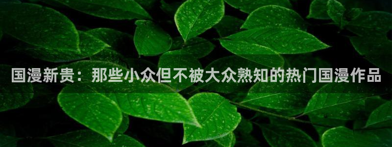 omofun可以投屏吗：国漫新贵：那些小众但不被大众熟知的热门国漫作品