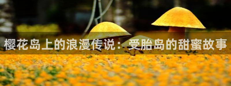 omofun最新官方下载：樱花岛上的浪漫传说：受胎岛的甜蜜故事