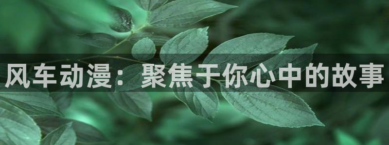 age动漫omofun：风车动漫：聚焦于你心中的故事