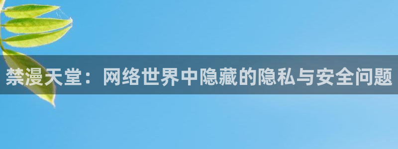 omofun纯净版无广告：禁漫天堂：网络世界中隐藏的隐私与安全问题