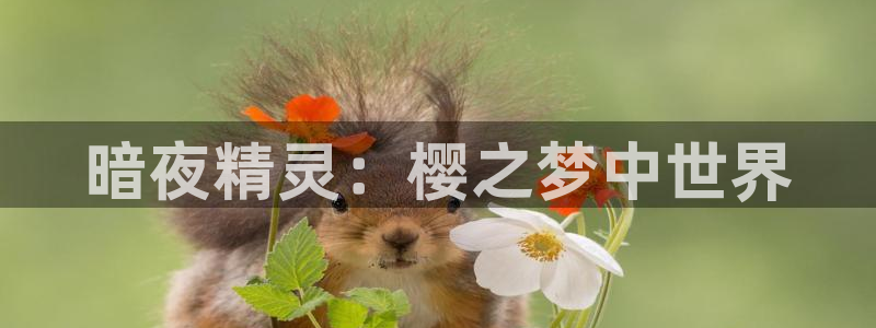 omofun纯净无广告版：暗夜精灵：樱之梦中世界
