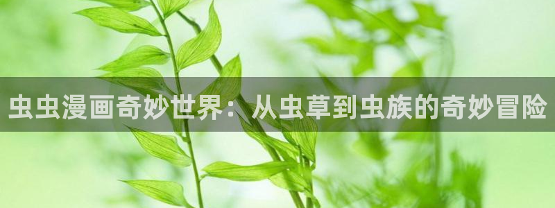 omofun动画：虫虫漫画奇妙世界：从虫草到虫族的奇妙冒险