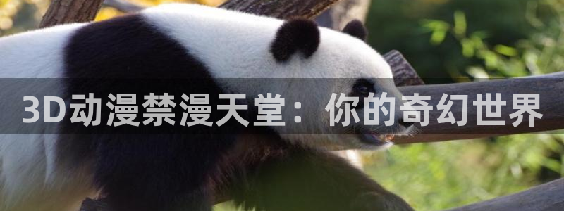 http://omofun：3D动漫禁漫天堂：你的奇幻世界