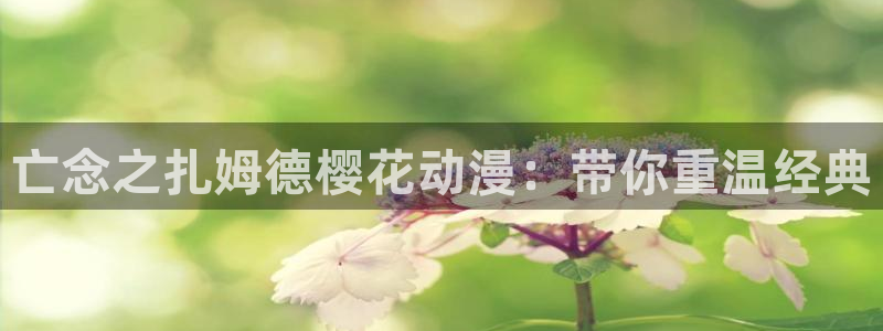 omofun动漫app下载最新版：亡念之扎姆德樱花动漫：带你重温经典